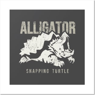 Alligator snapping turtle, reptiles lovers Posters and Art